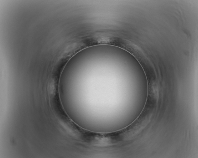 X0000113220311200909171600