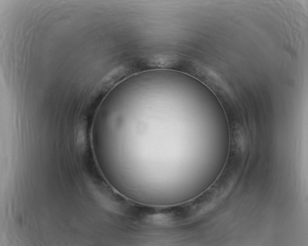 X0000113220312200909171600