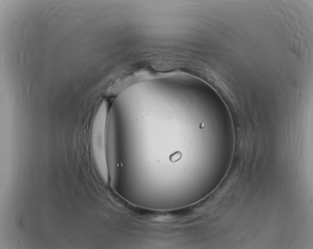 X0000113220313200909171600