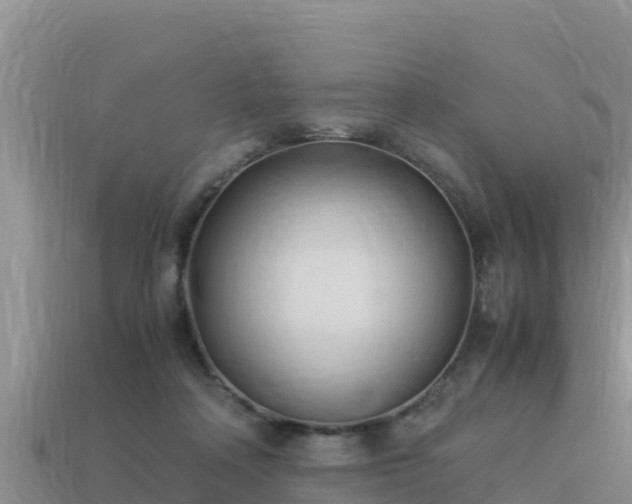 X0000113220314200909171600