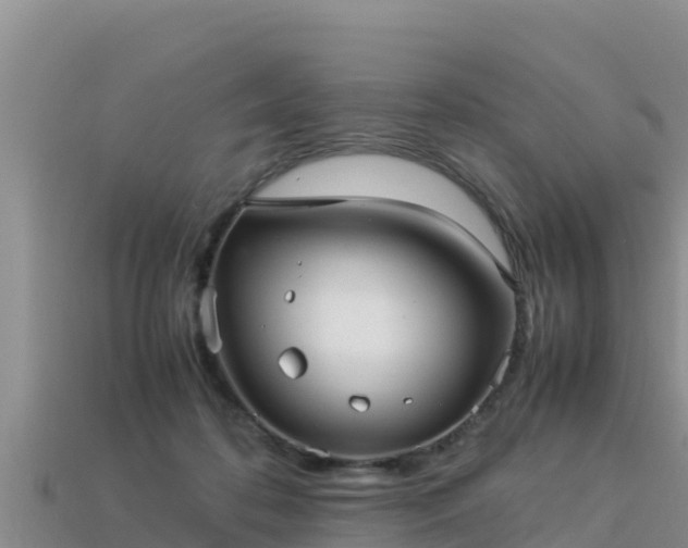 X0000113220316200909171600