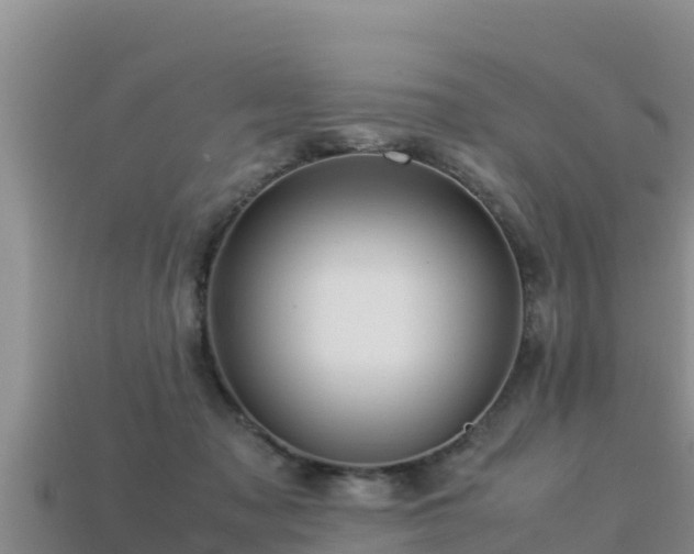 X0000113220317200909171600