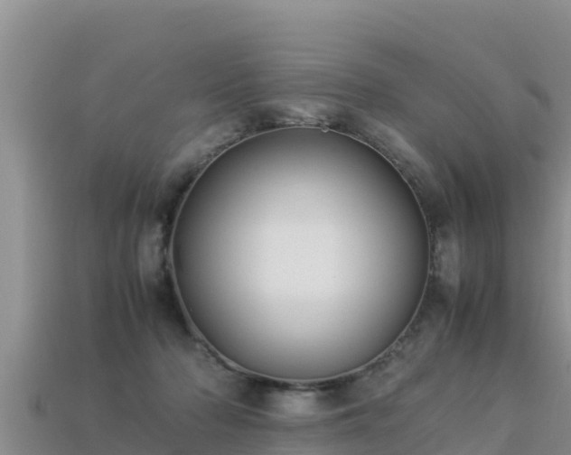 X0000113220318200909171600