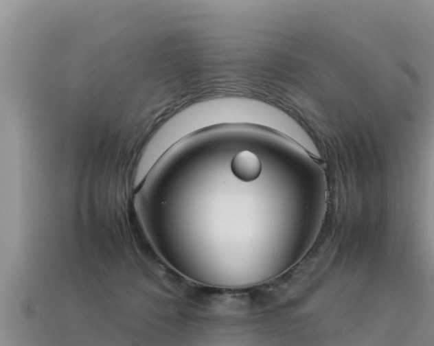 X0000113220320200909171600