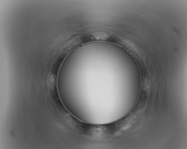 X0000113220321200909171600