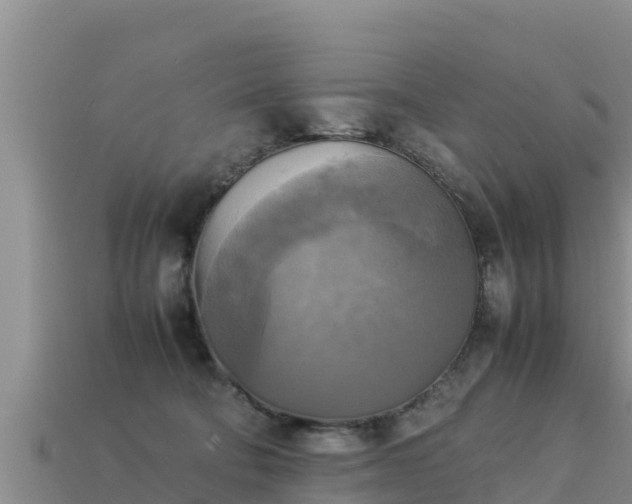 X0000113220322200909171600