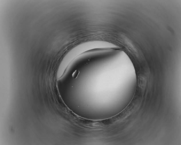 X0000113220324200909171600