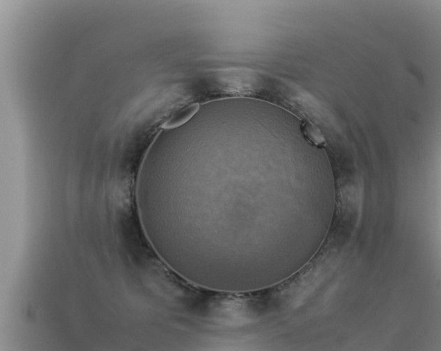 X0000113220325200909171600