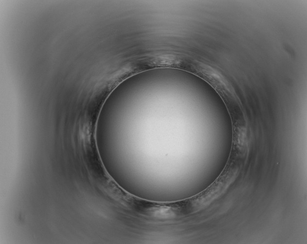 X0000113220326200909171600