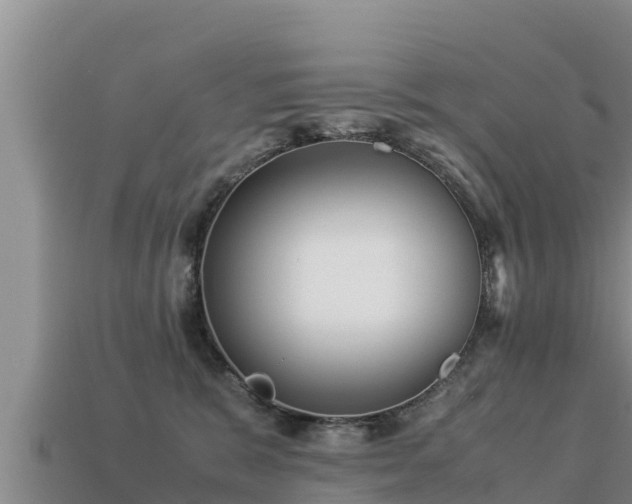 X0000113220327200909171600