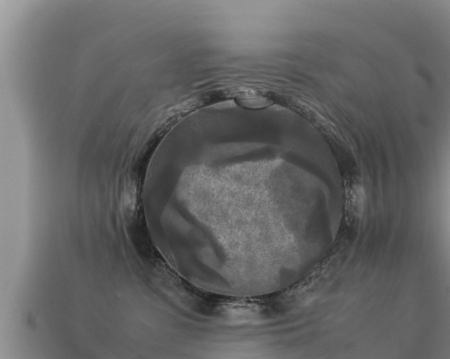 X0000113220331200909171600