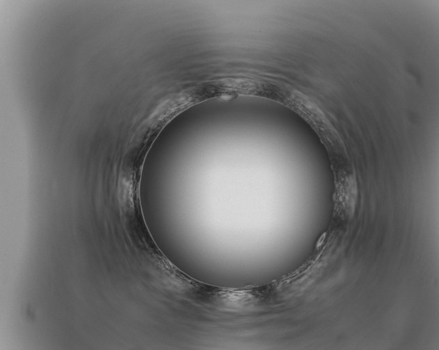 X0000113220333200909171600