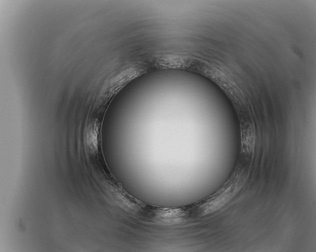 X0000113220334200909171600