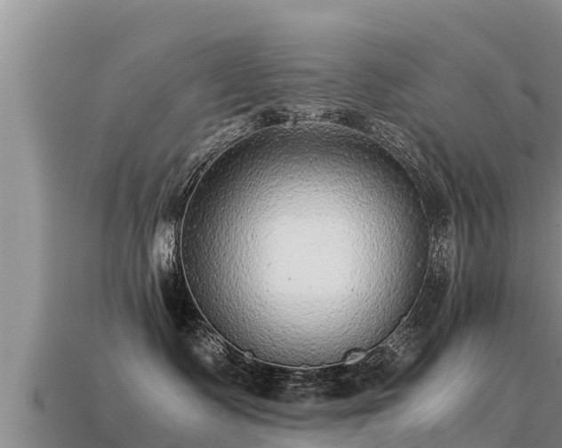 X0000113220335200909171600