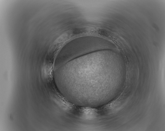 X0000113220336200909171600