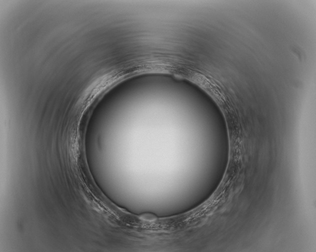 X0000113220338200909171559