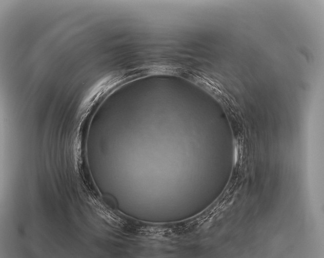 X0000113220339200909171559