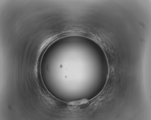 X0000113220340200909171559