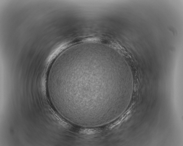 X0000113220341200909171559