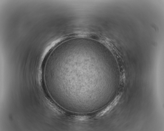 X0000113220342200909171559