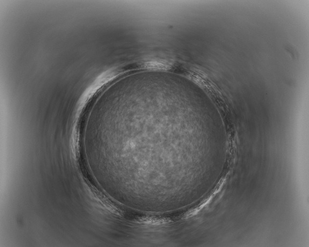 X0000113220343200909171559