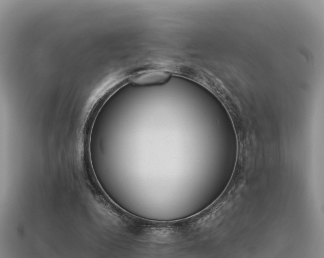 X0000113220344200909171559