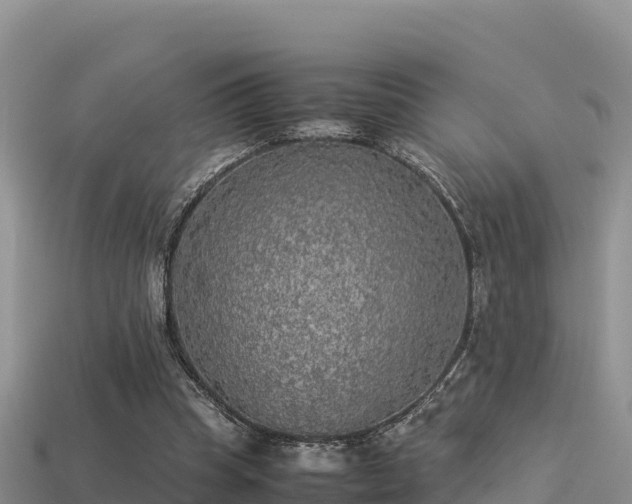 X0000113220345200909171559