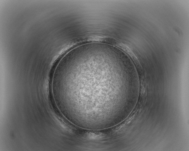 X0000113220346200909171559