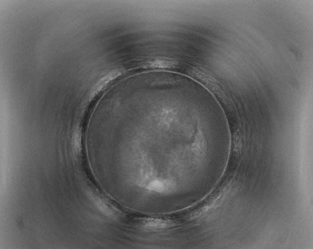 X0000113220347200909171559