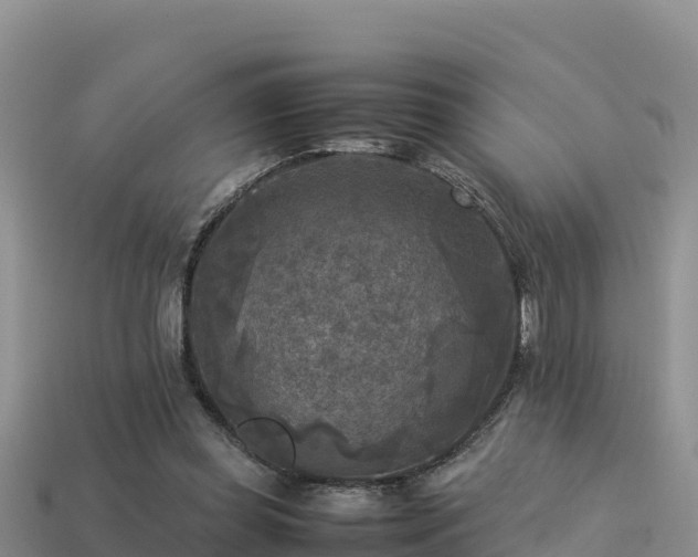 X0000113220349200909171559