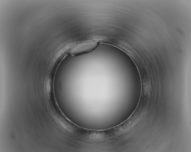 X0000113220350200909171559