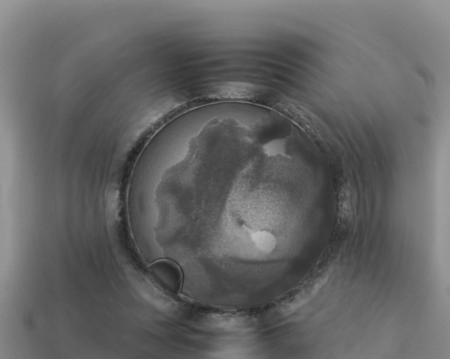 X0000113220351200909171559