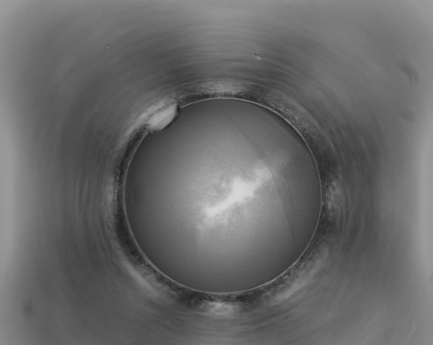 X0000113220352200909171559