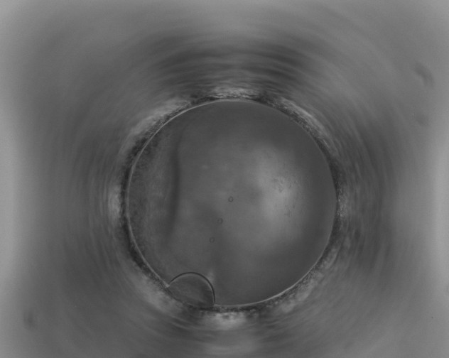 X0000113220353200909171559