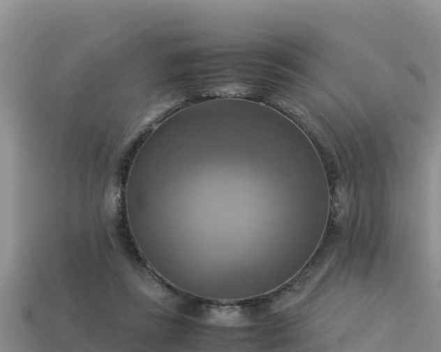 X0000113220355200909171559