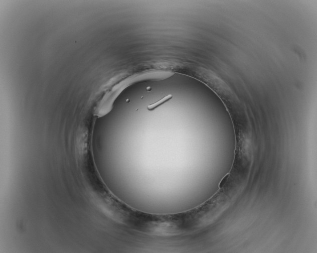 X0000113220356200909171559