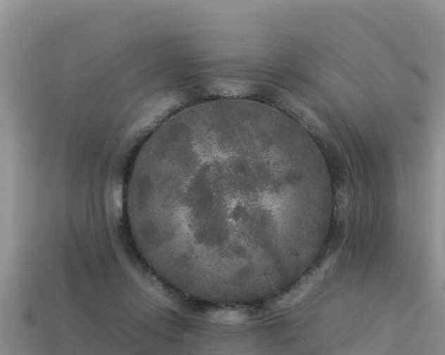 X0000113220358200909171559