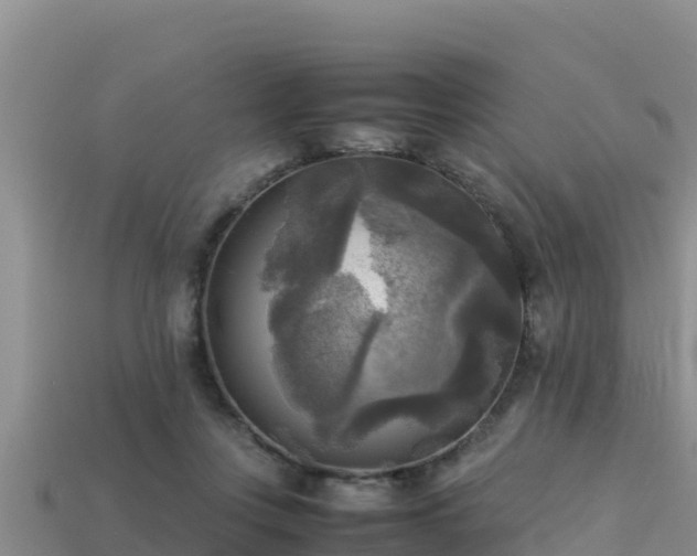 X0000113220359200909171559