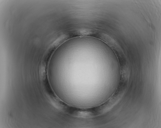 X0000113220360200909171559