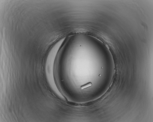 X0000113220362200909171559