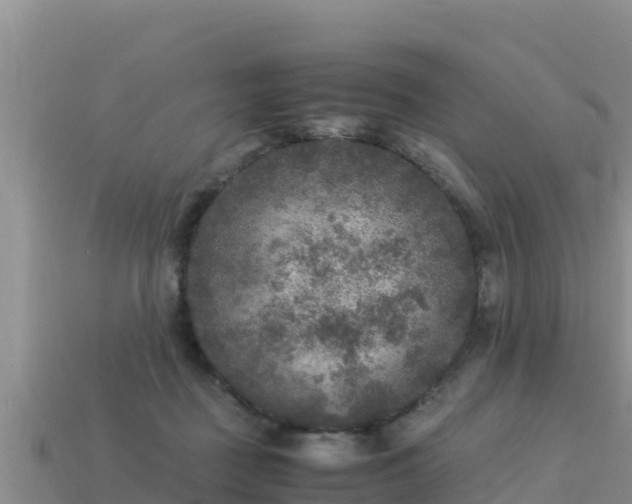 X0000113220363200909171559