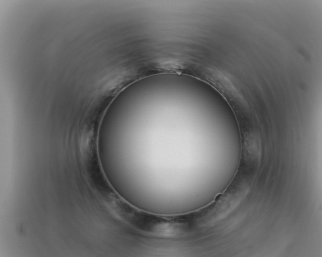 X0000113220364200909171559