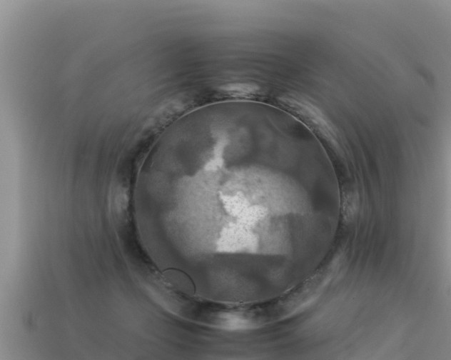 X0000113220365200909171559