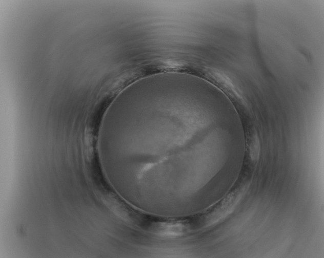 X0000113220366200909171600