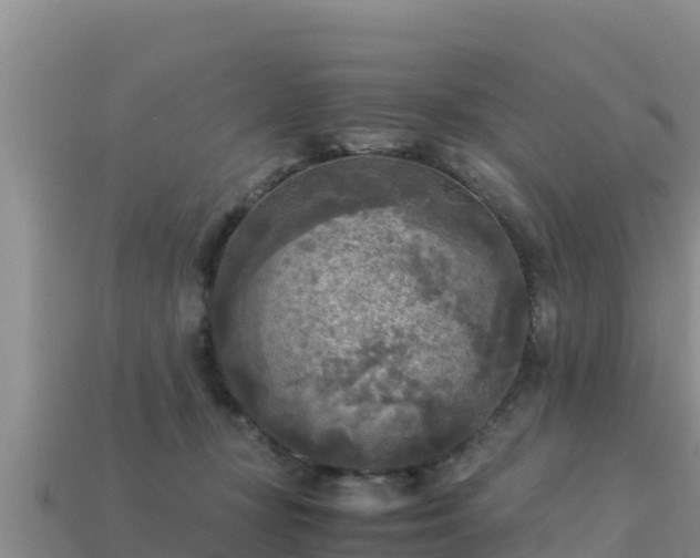 X0000113220367200909171600