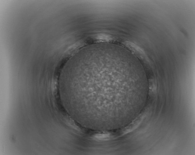 X0000113220369200909171600