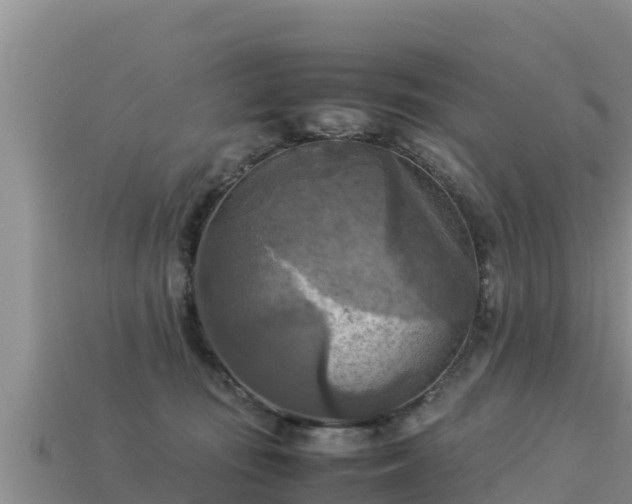 X0000113220371200909171600