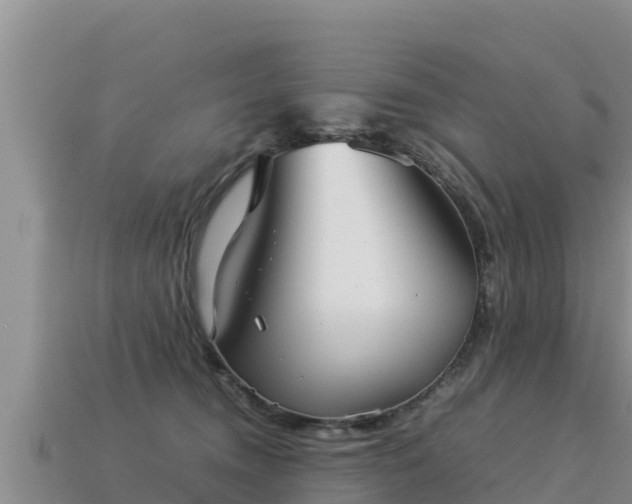 X0000113220372200909171600