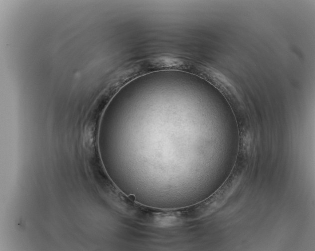 X0000113220373200909171600