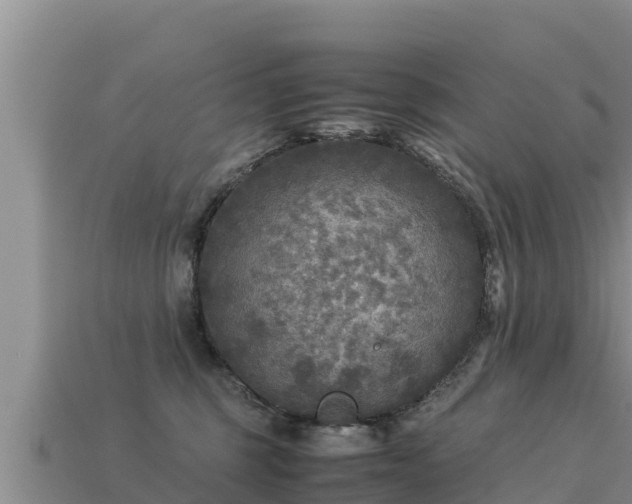 X0000113220375200909171600